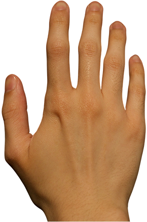 Mano izquierda abierta con dedos extendidos y piel de tono claro.