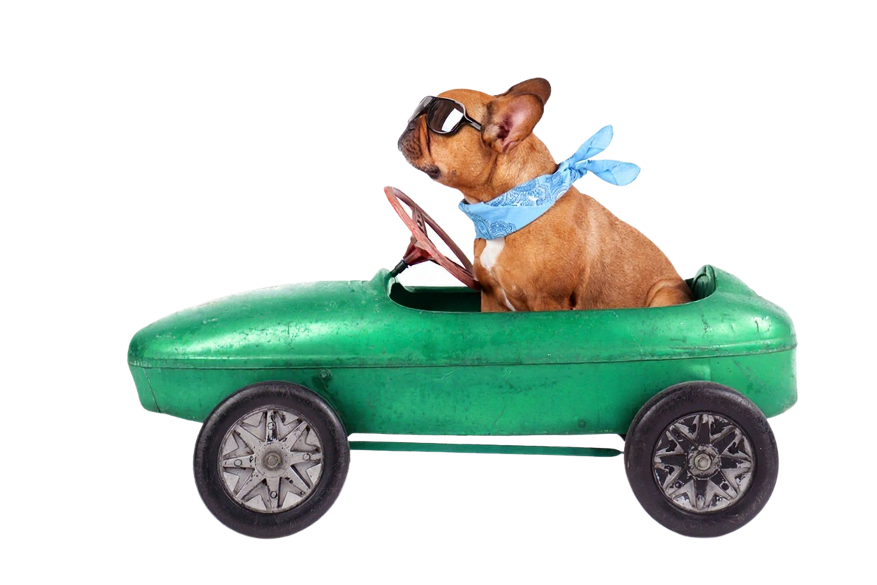 Customer Car Finance's Ralph