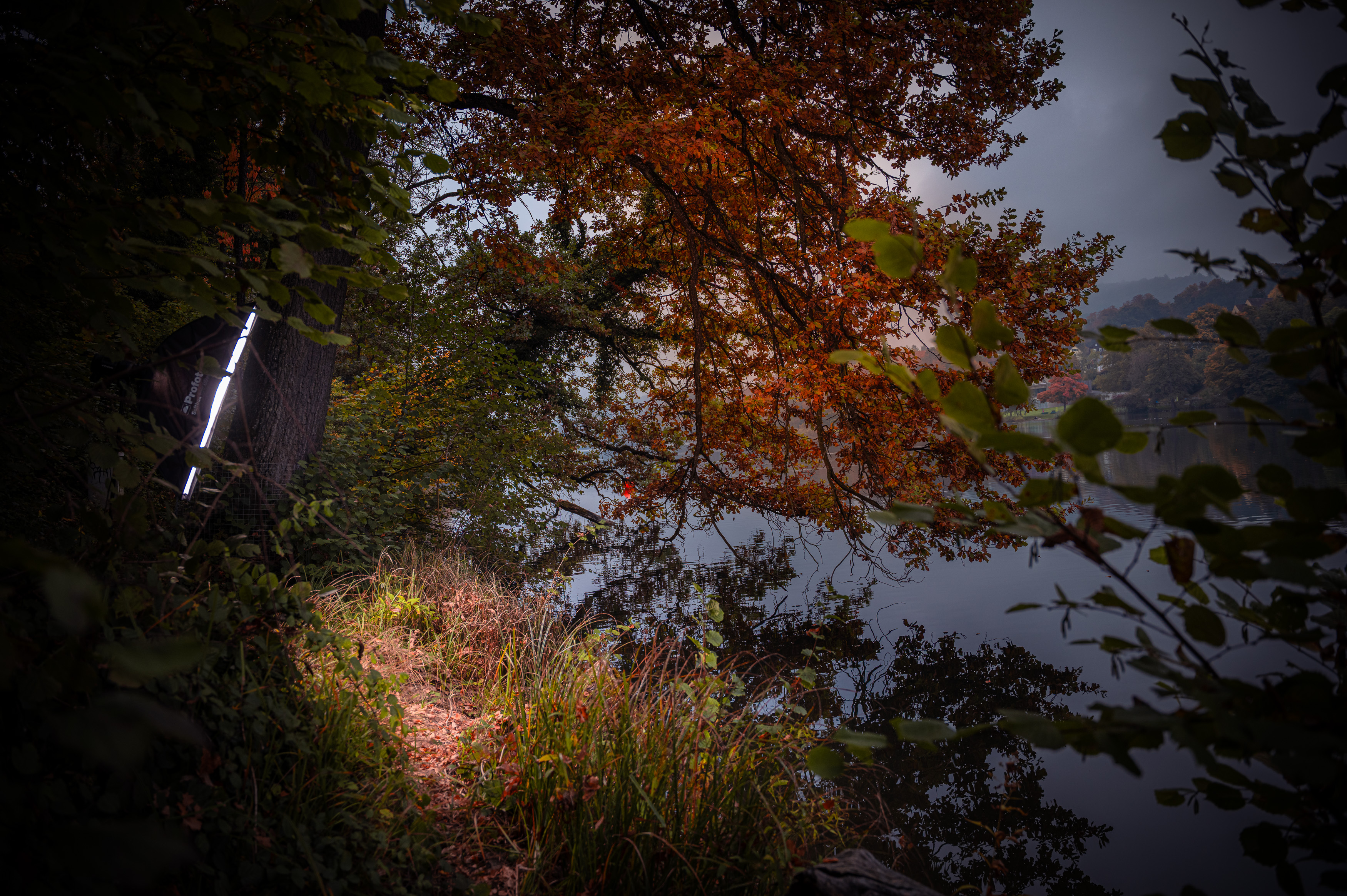 Yogamatte mit Pflanze