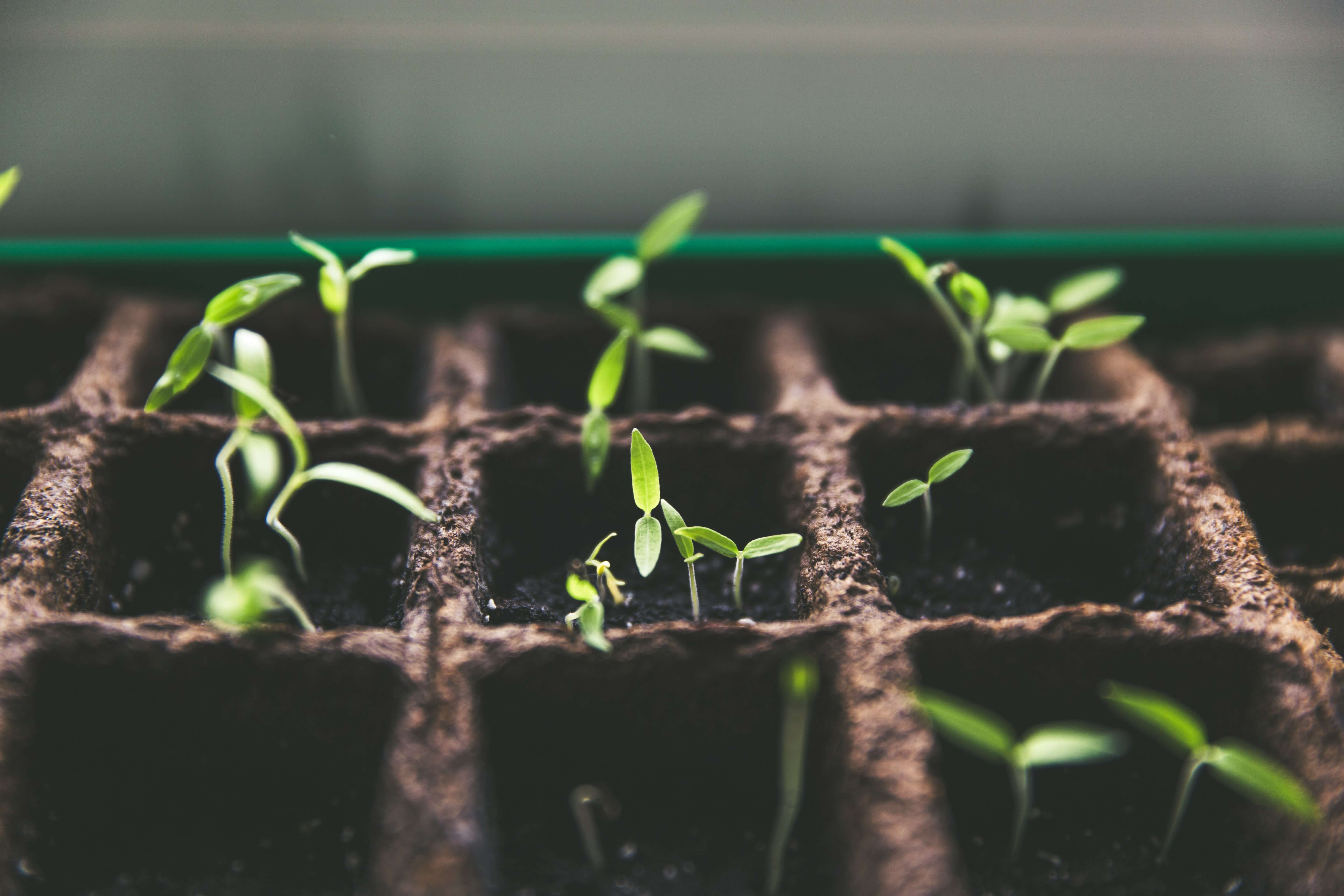 How to Generate Leads in Sales: A Complete Guide for 2025 | Leadspicker