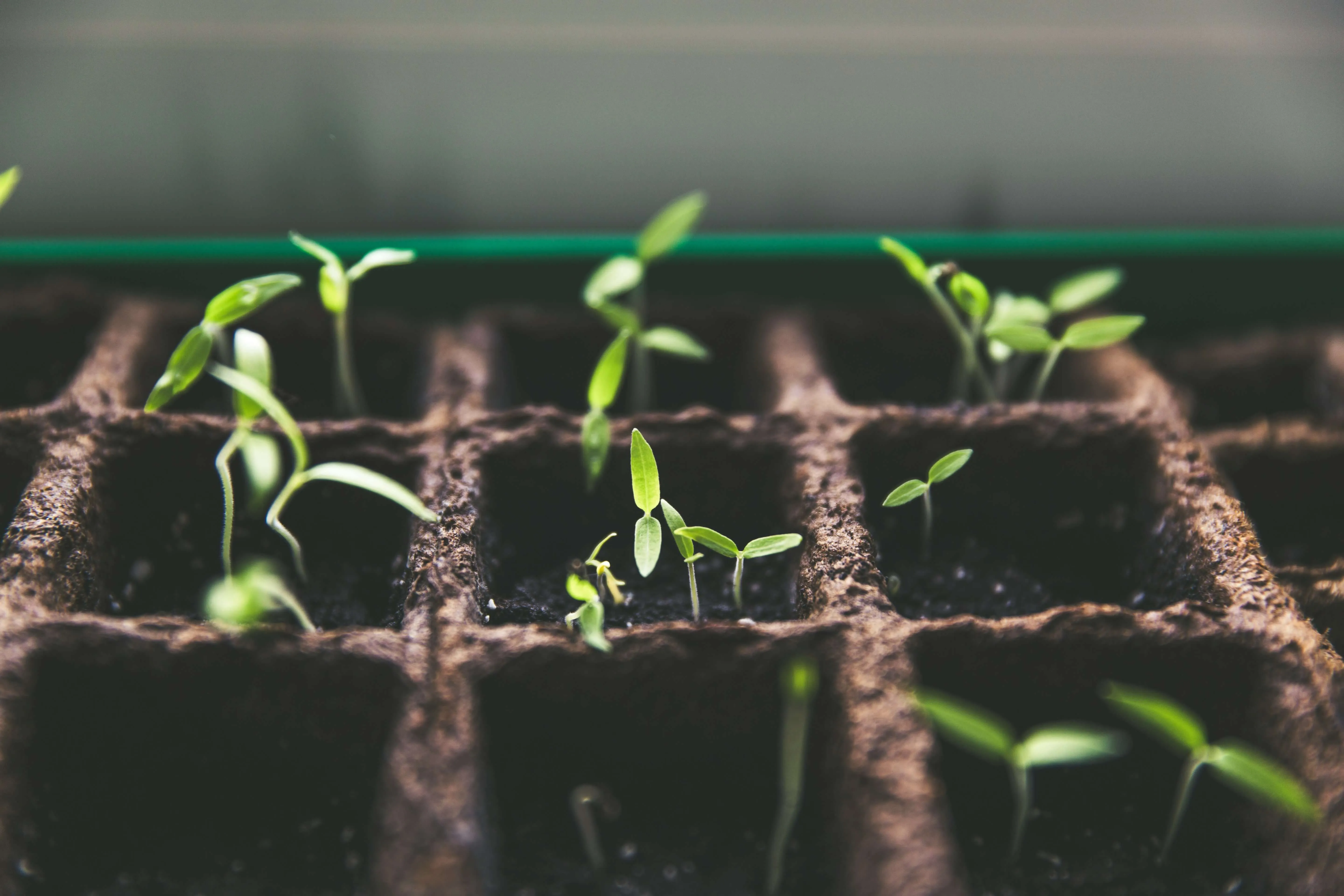 How to Generate Leads in Sales: A Complete Guide for 2025 | Leadspicker