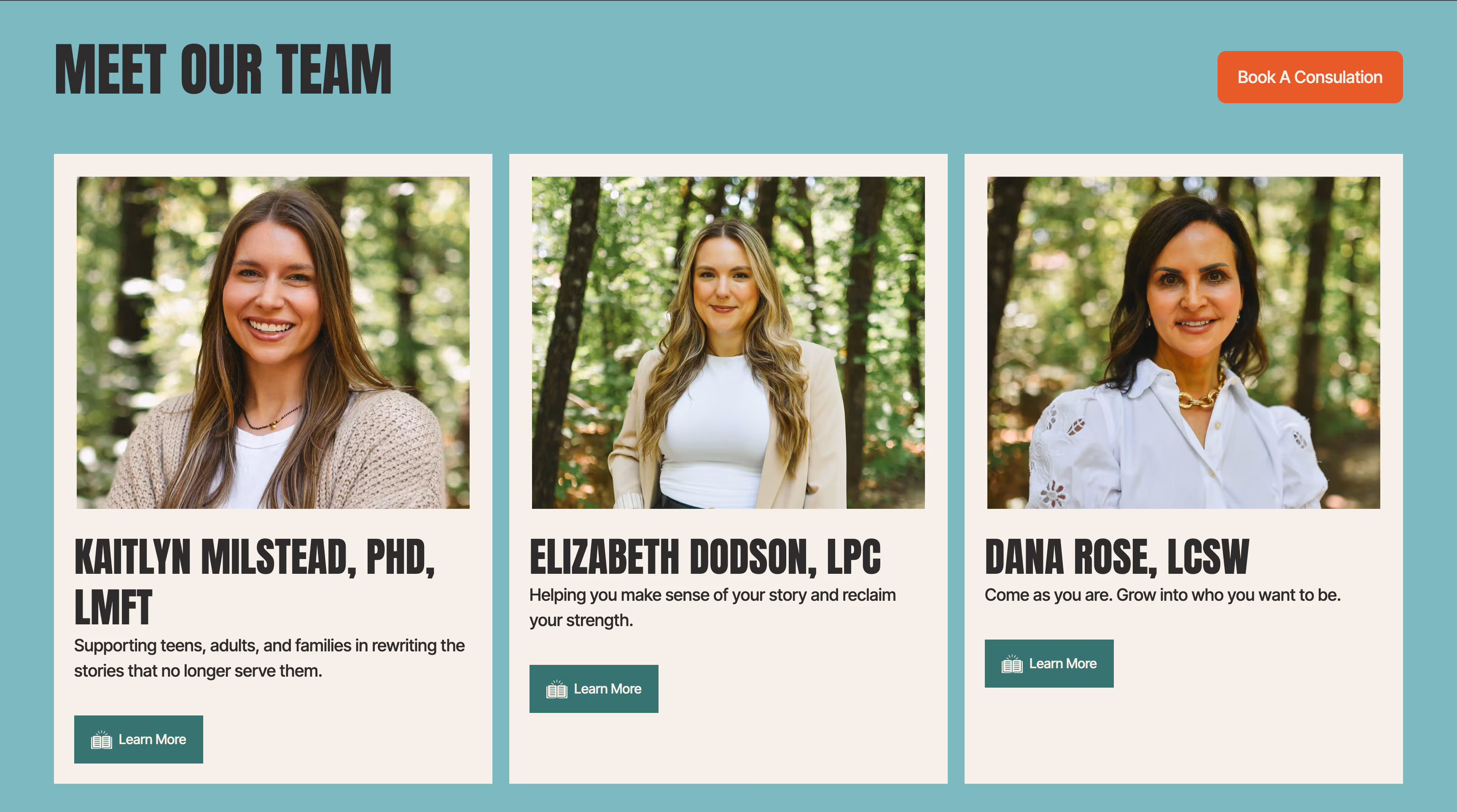 New Narratives Counseling | Website Redesign | Allen, TX