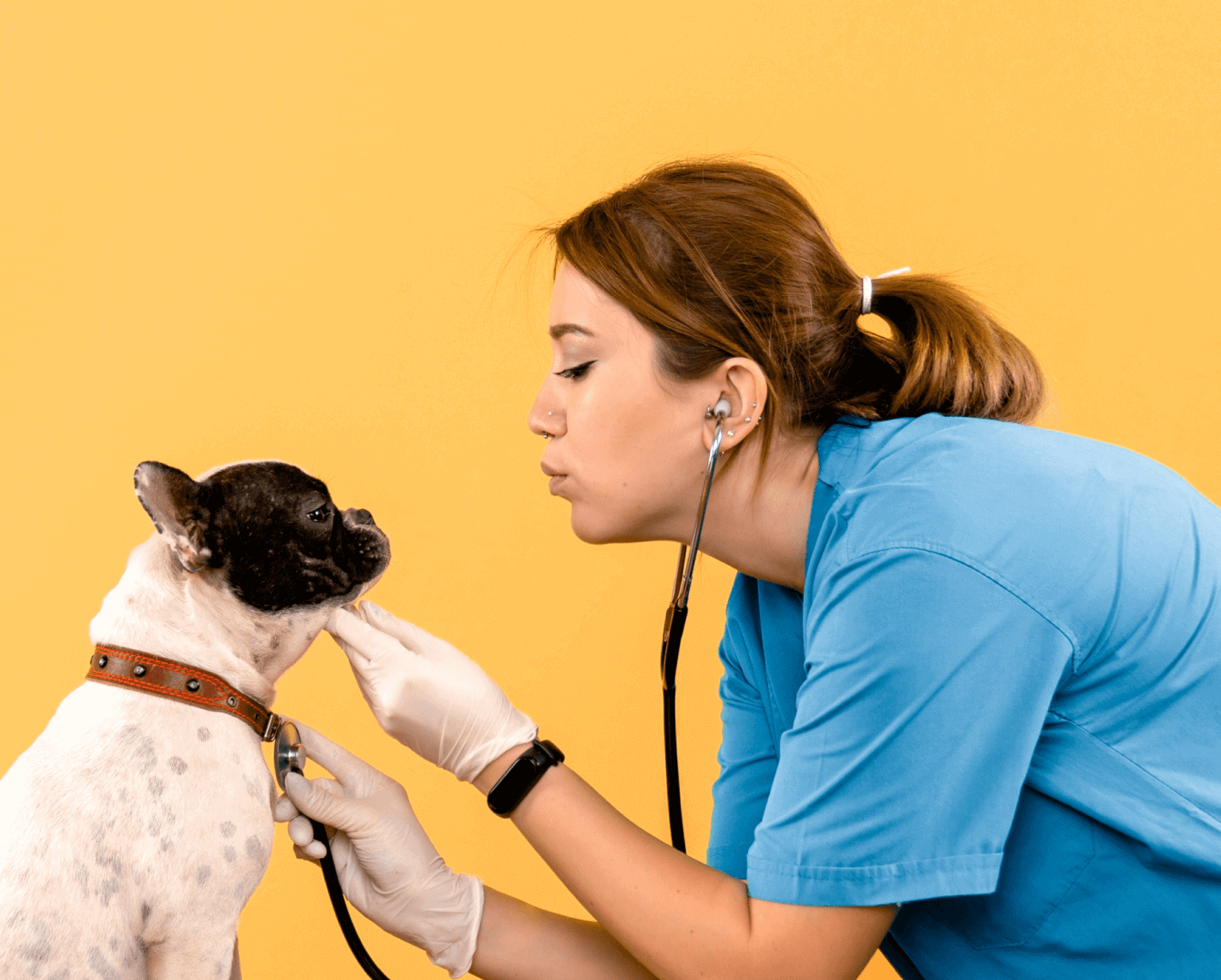 About Us Image - Pet X Webflow Template