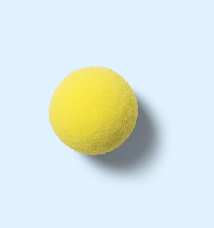 Dog ball