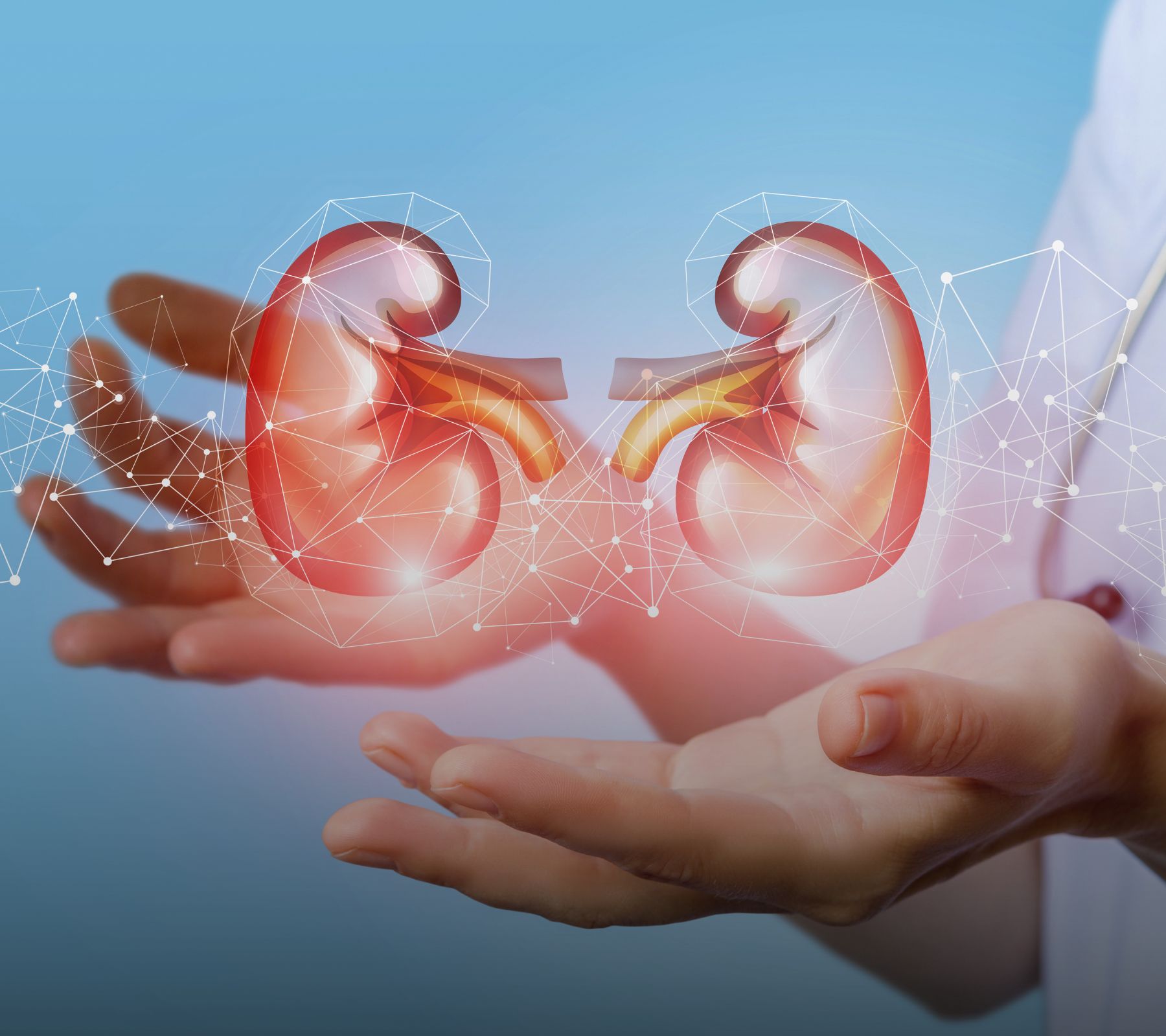 kidney health screening