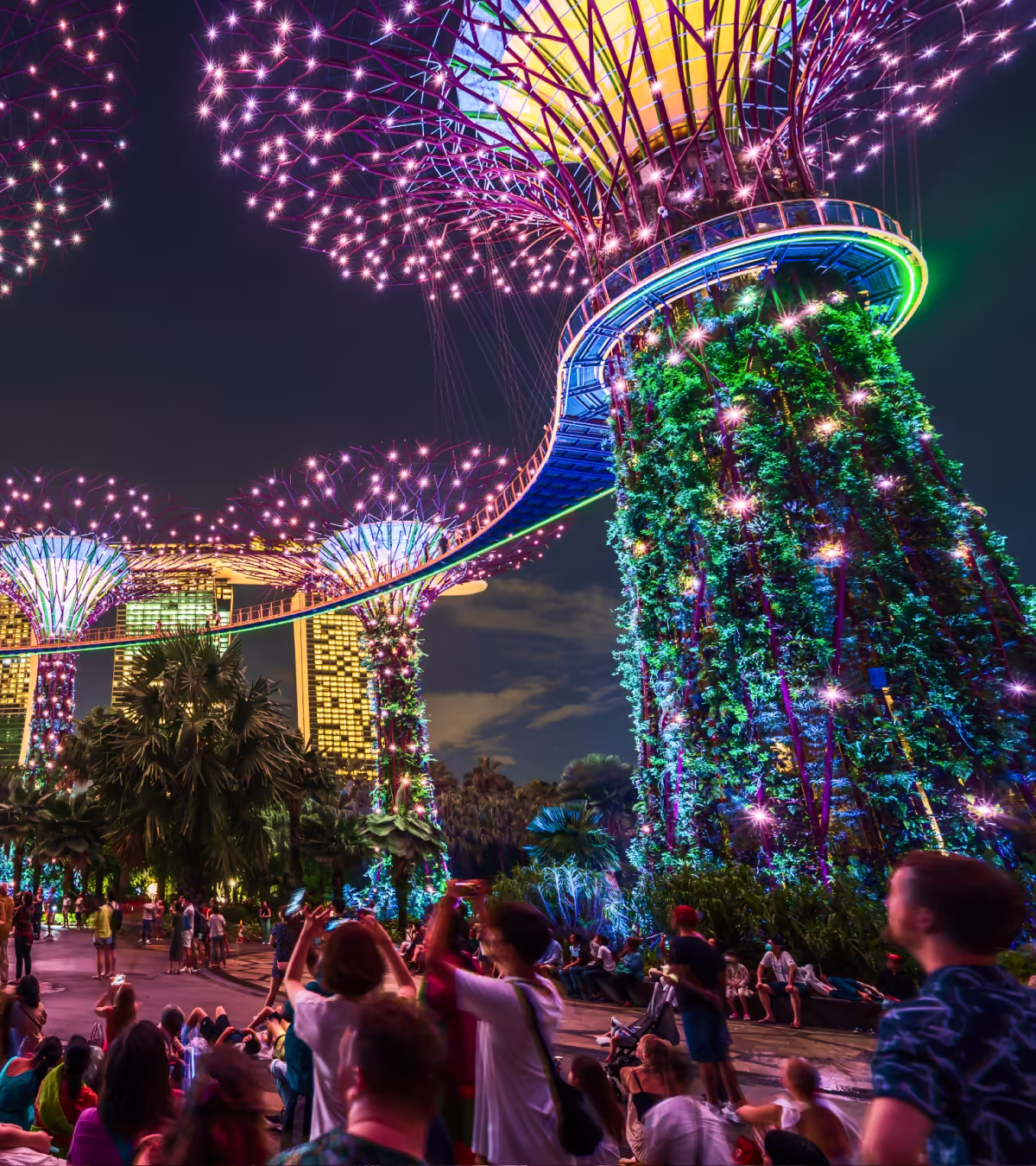 Nighttime view of Singapore’s Gardens by the Bay, showing Supertree Grove illuminated with vibrant purple, blue, and green lights, with crowds of people watching the light show under the glowing trees