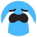 TikTok cry expression