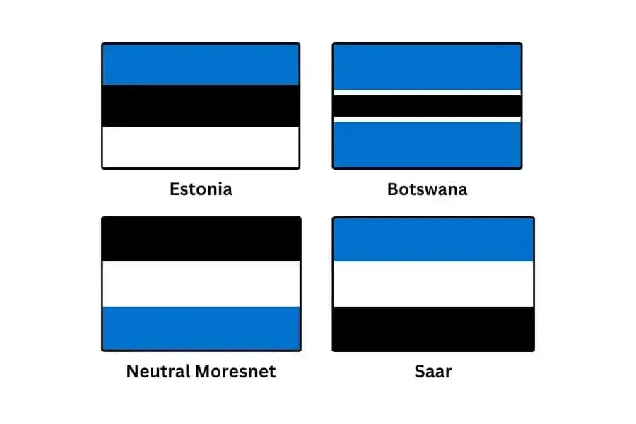 Blue Black White Flag