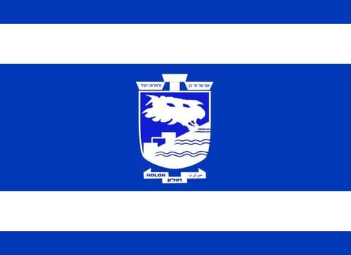 Holon flag