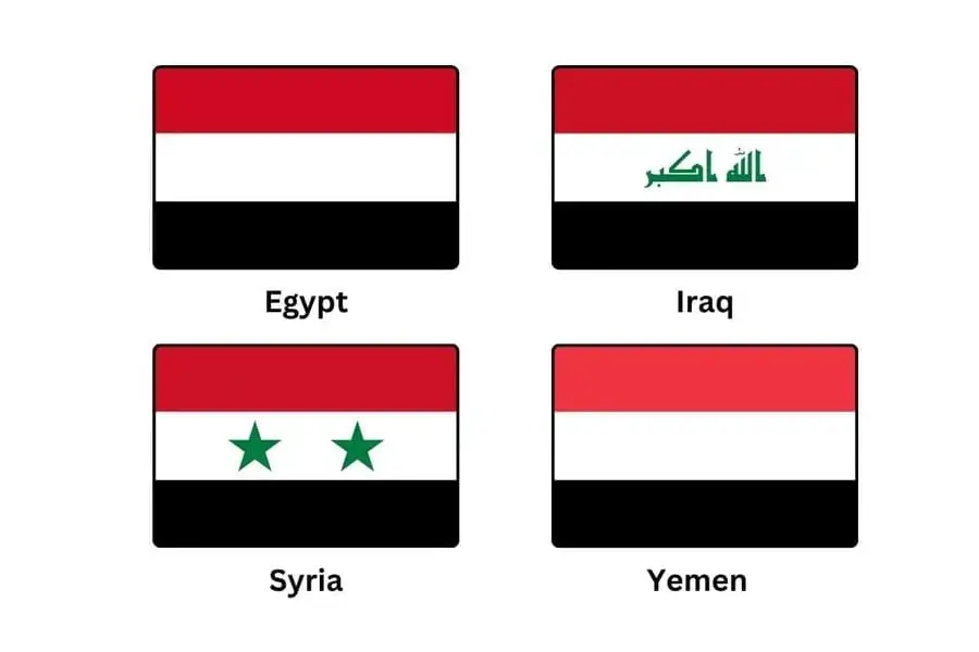 Black and White Flag with Red Stripe