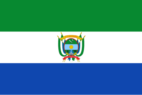 Guaviare flag