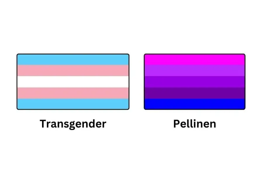 Blue Pink White Flag