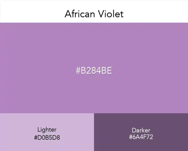African Violet