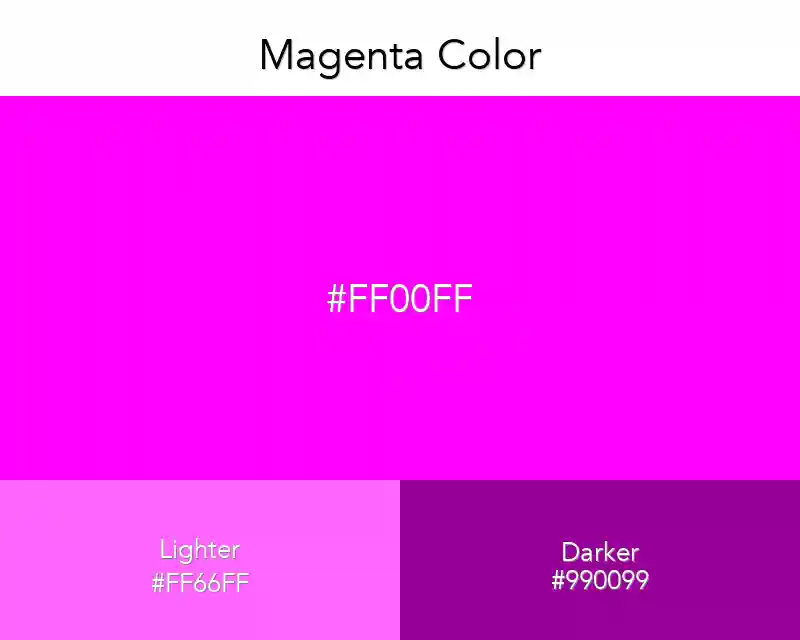 Magenta Color