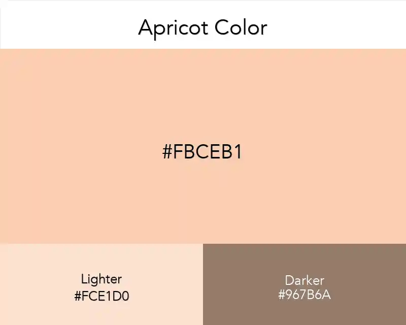 Apricot Color
