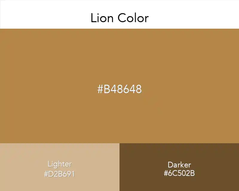 Lion Color