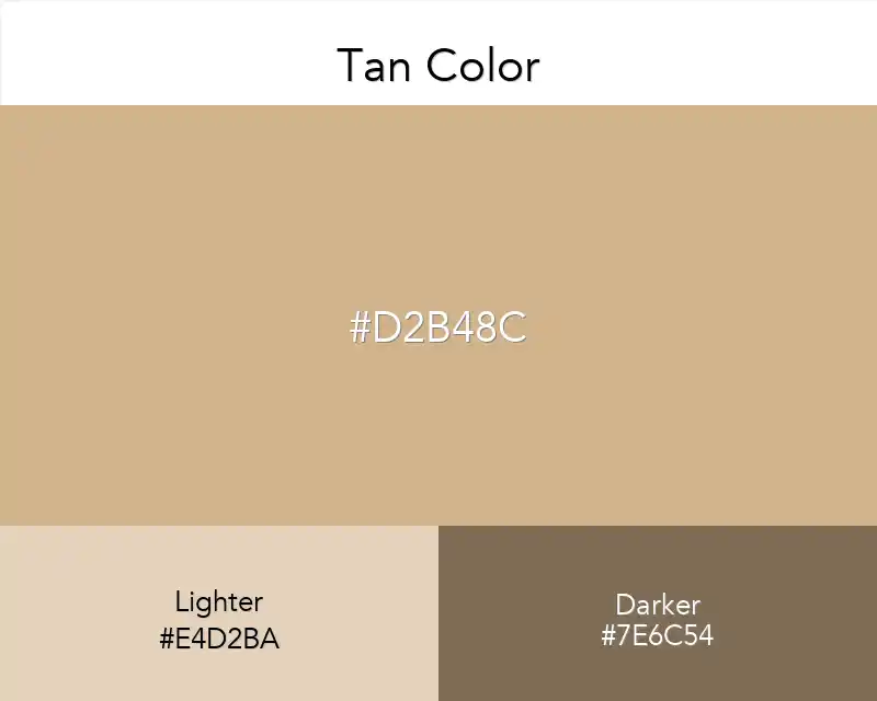 Tan Color