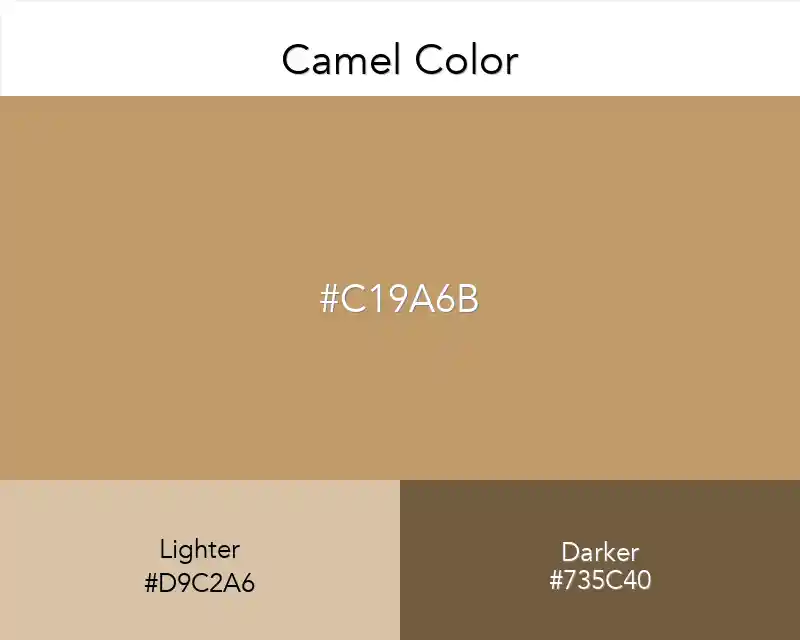 Camel Color
