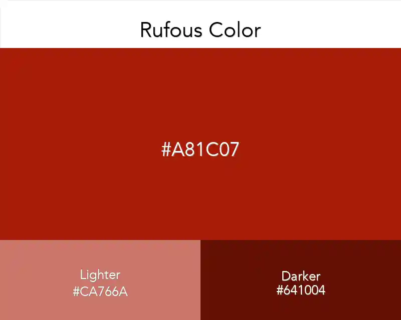 Rufous Color