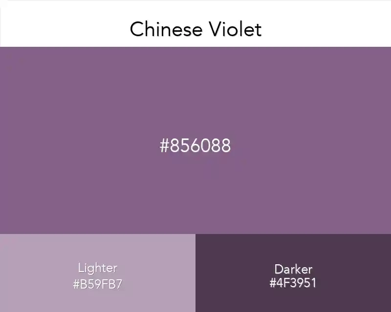 Chinese Violet