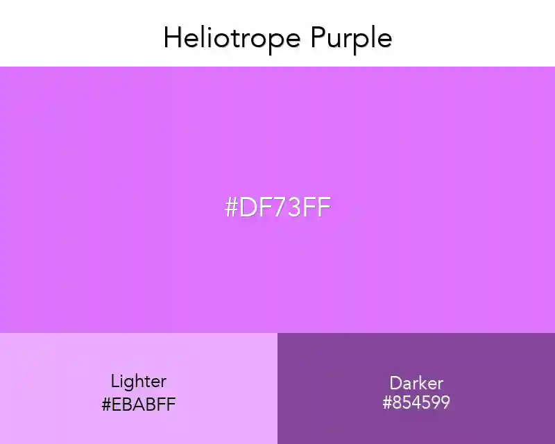 Heliotrope Purple