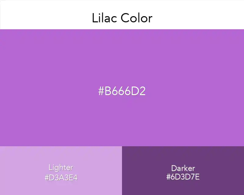 Lilac Color