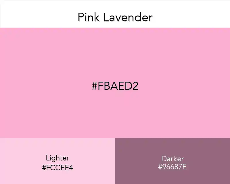 Pink Lavender
