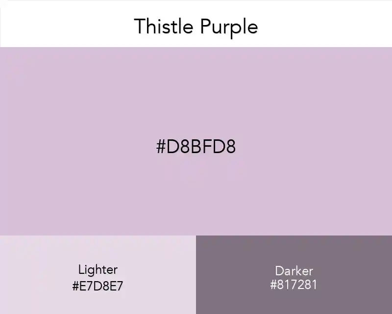 Thistle Purple