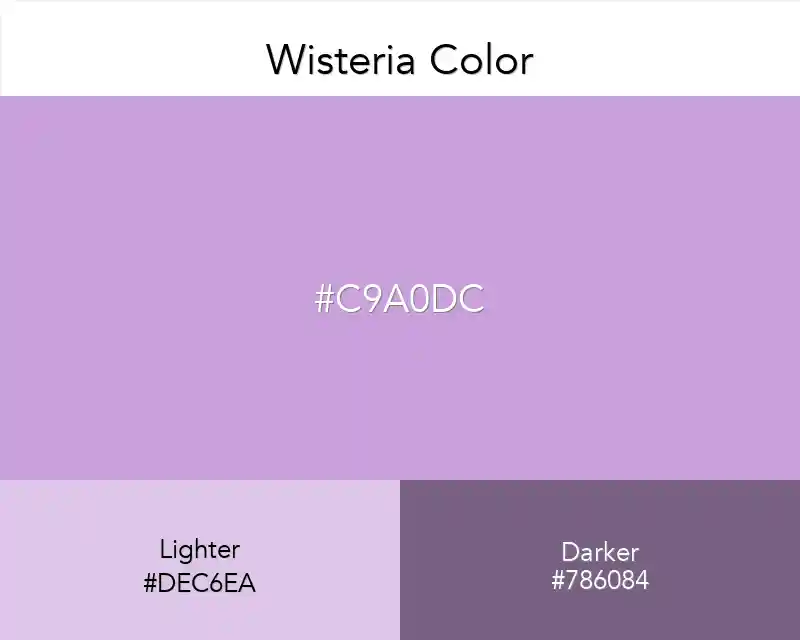 Wisteria Color