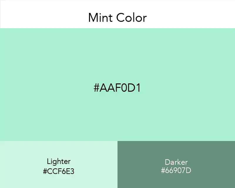 Mint Color