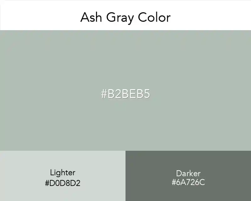 Ash Gray Color