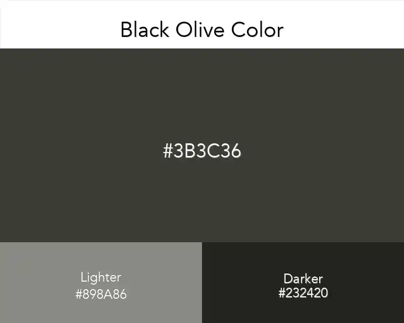 Black Olive Color