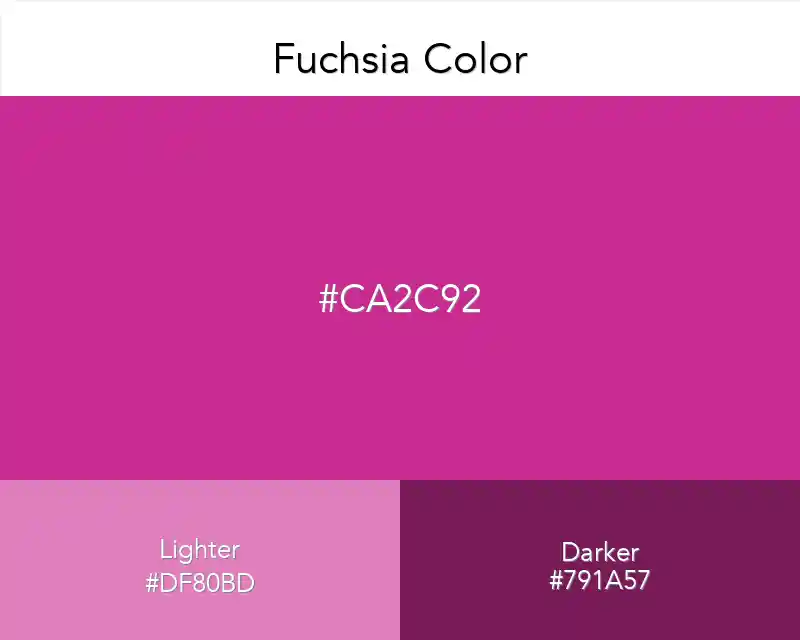 Fuchsia Color