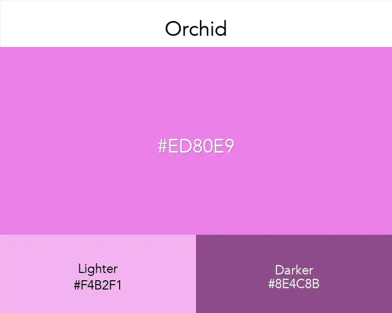 Orchid