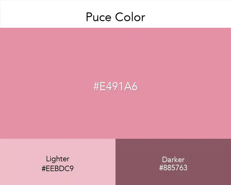 Puce Color