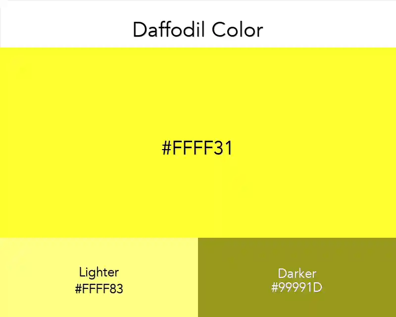 Daffodil Color
