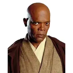 Mace Windu