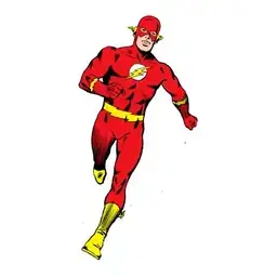 Flash
