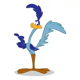 Road Runner