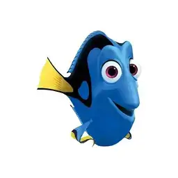 Dory