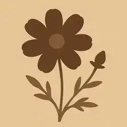 Chocolate Cosmos