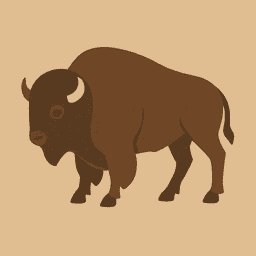 Bison