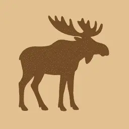 Moose