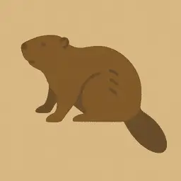 Beaver
