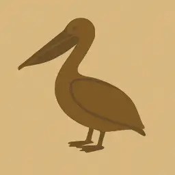 Brown pelican