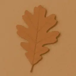 Oak