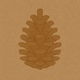 Pinecone