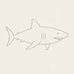Great white shark