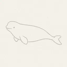 Beluga