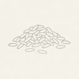 White rice